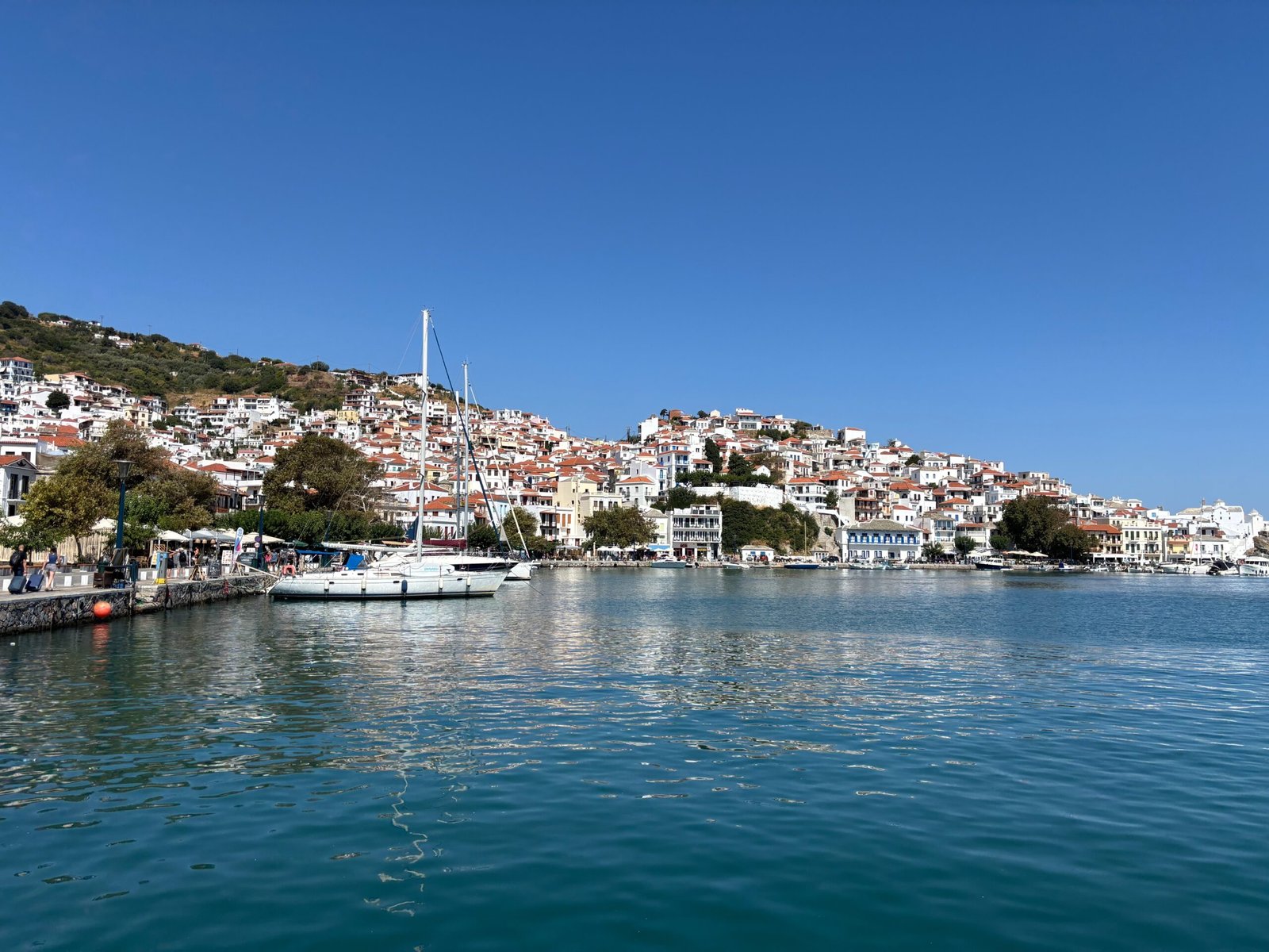 Cosa vedere a Skopelos tra porto, case bianche e mare delle Sporadi