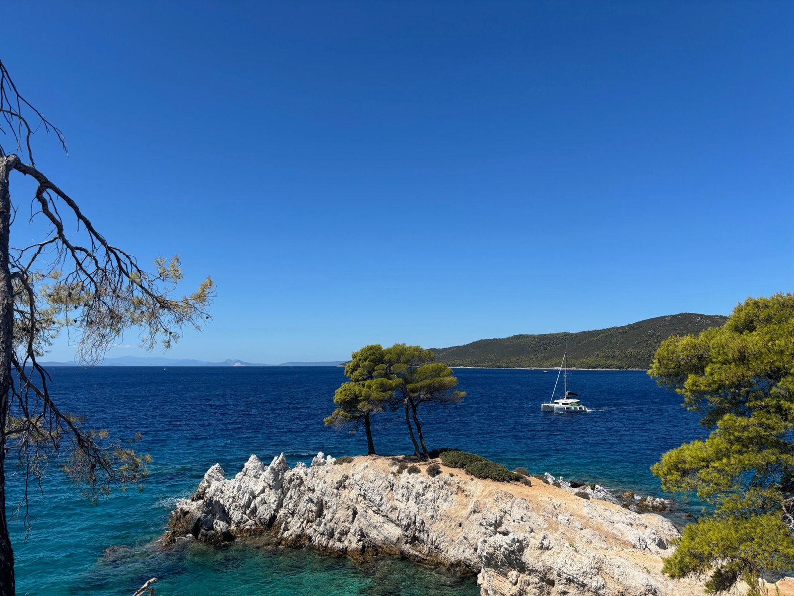 I due pini di Capo Amarandos a Skopelos