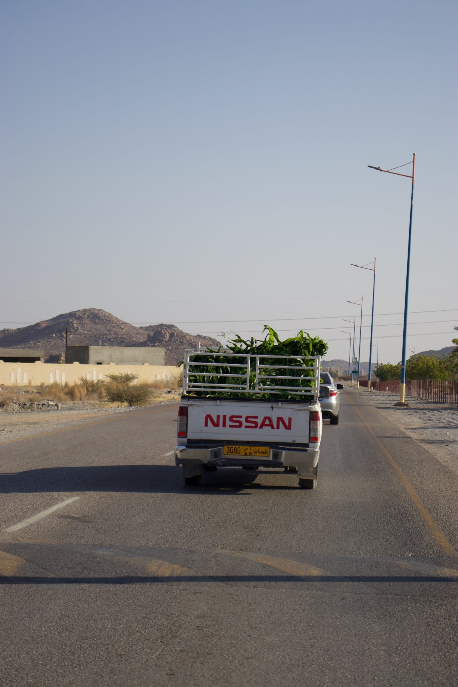 Strada panoramica durante il viaggio on the road in Oman