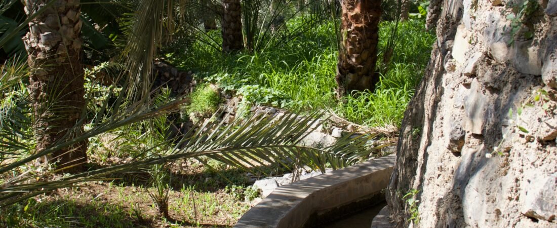 Villaggi dell’Oman: Birkat Al Mouz e Misfat Al Abriyeen