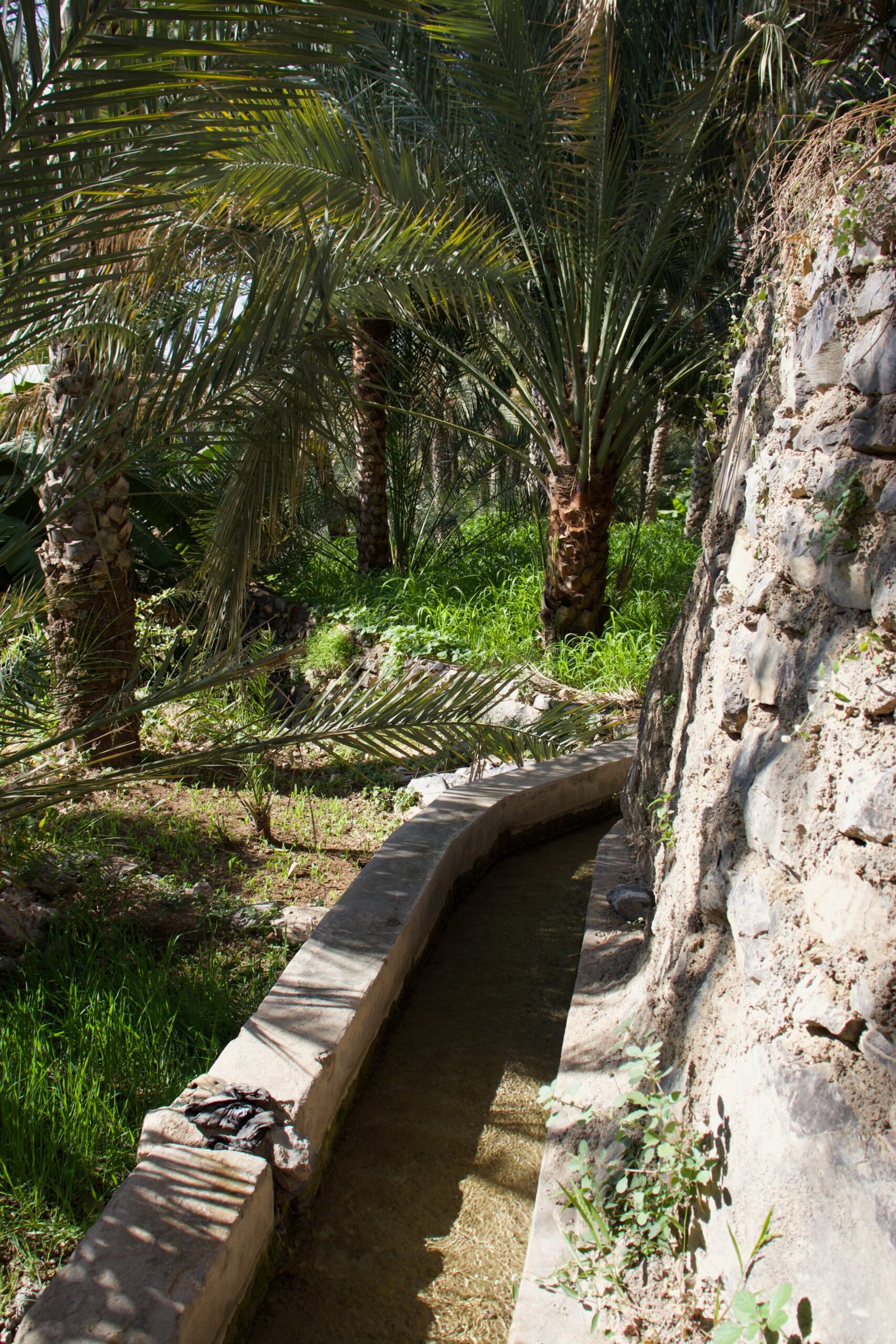 Birkat Al Mouz e Misfat Al Abriyeen
