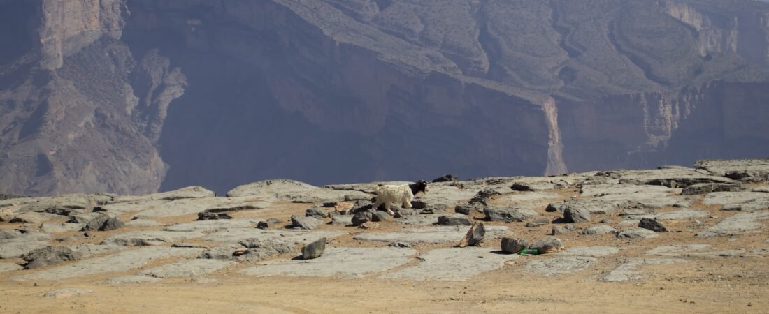 Jabal Shams: Balcony Walk e Grand Canyon dell’Oman
