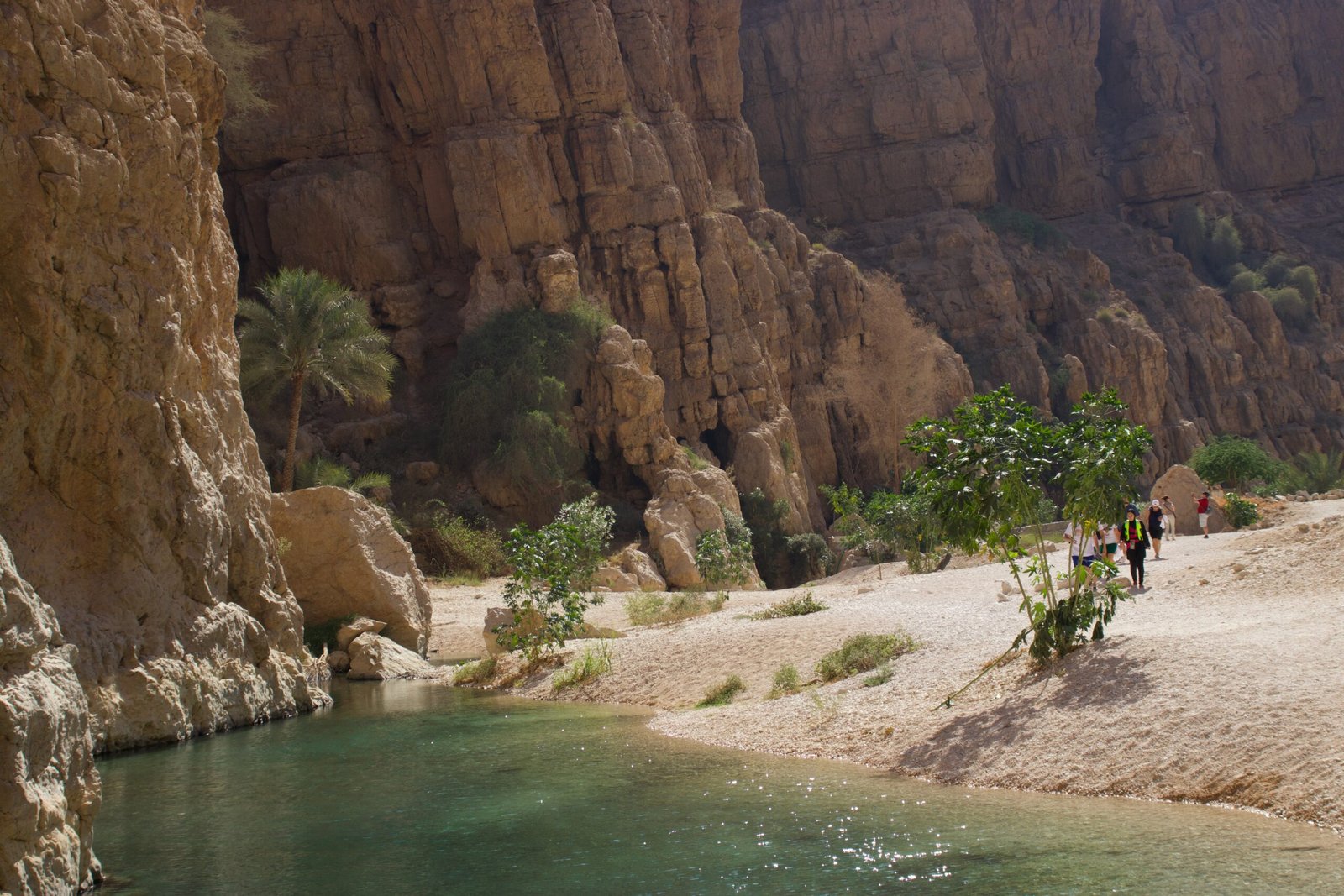 Wadi Shab in Oman Pareti rocciose e acqua a Wadi Shab in Oman