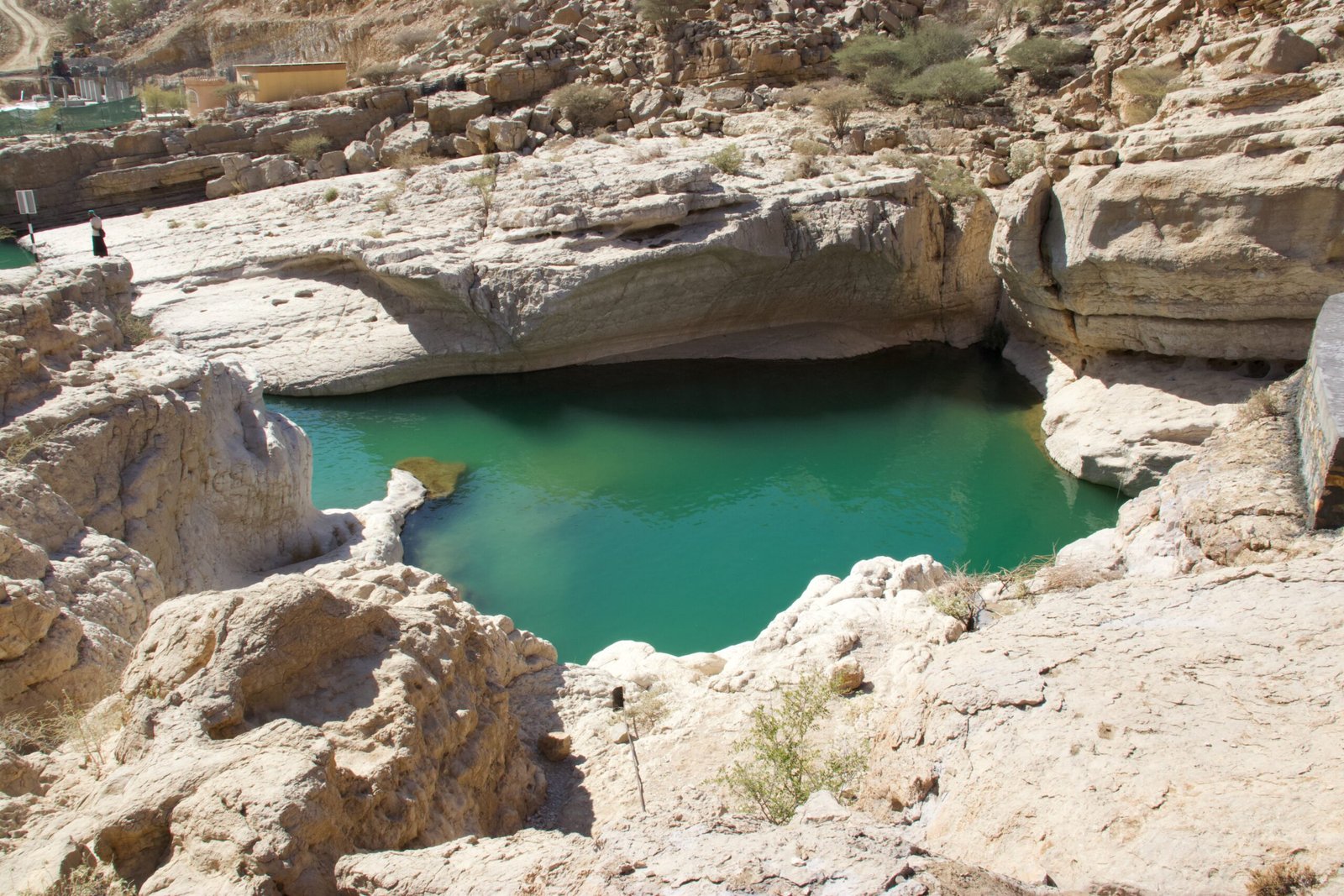 Piscine naturali e consigli