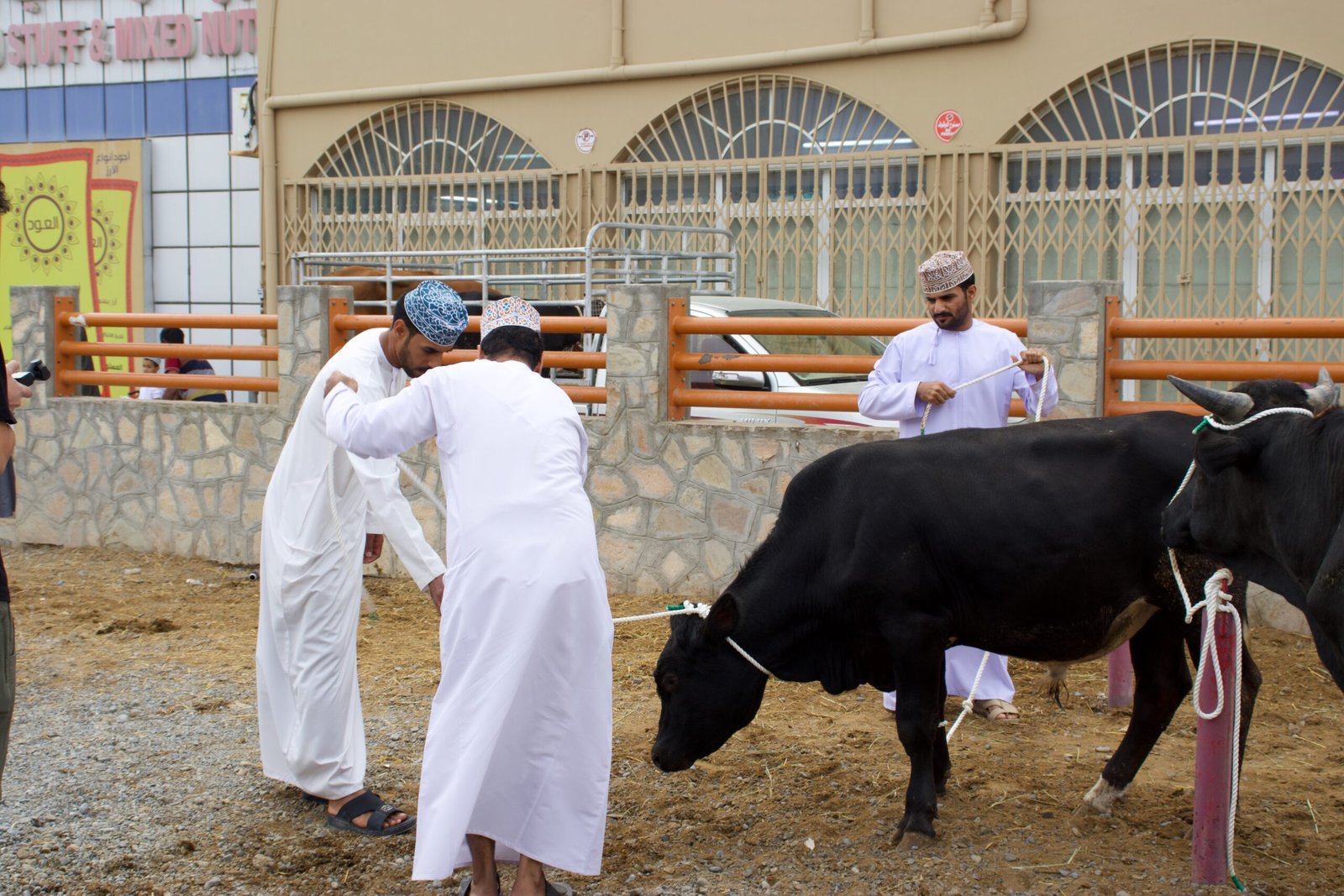 Nizwa: forte, souq e tradizioni