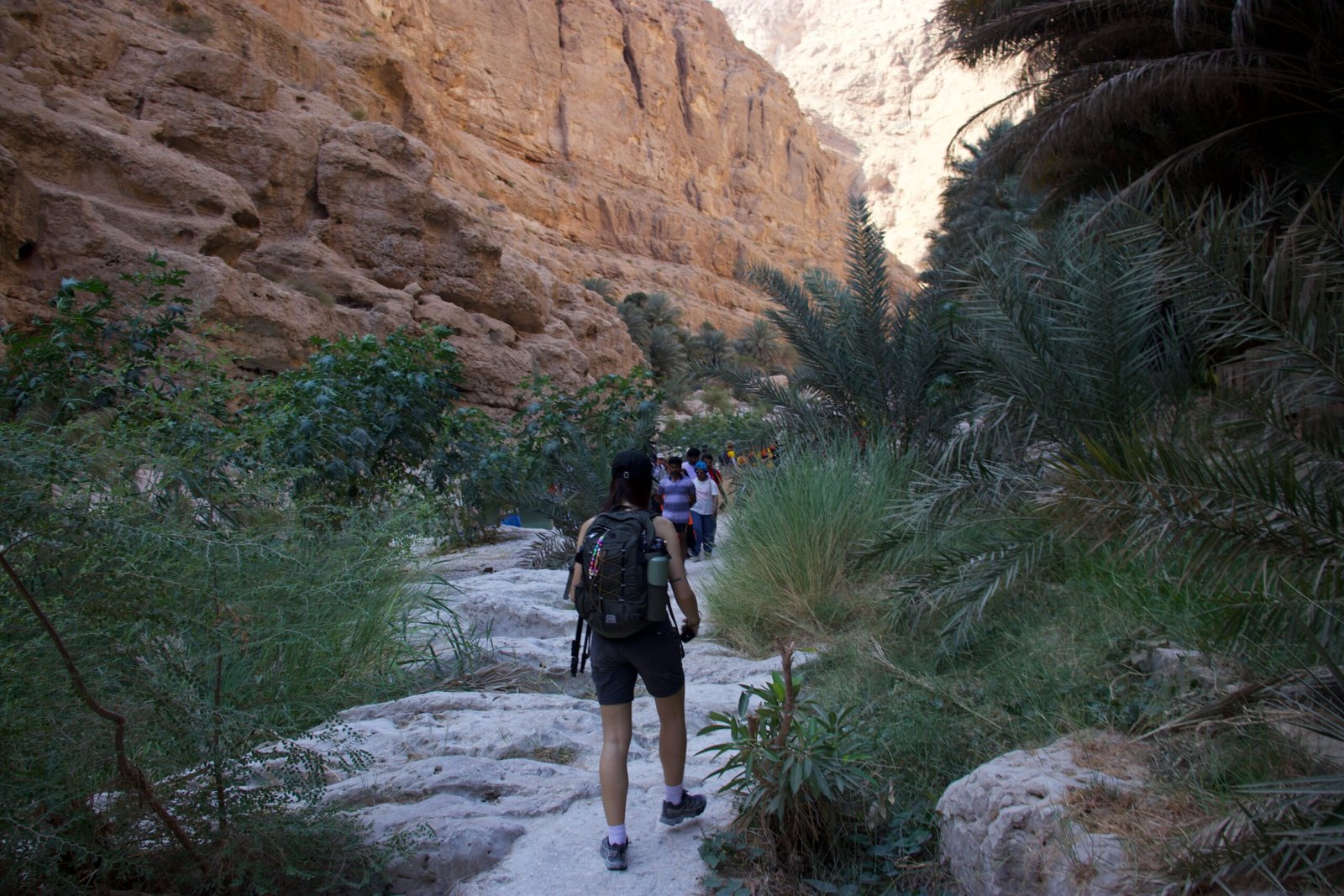 Sentiero del trekking a Wadi Shab Sentiero roccioso durante il trekking a Wadi Shab in Oman