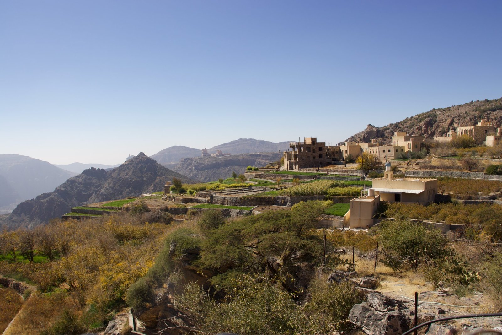 Terrazzamenti agricoli nei villaggi dell'Oman Terrazzamenti coltivati nei villaggi montani dell'Oman