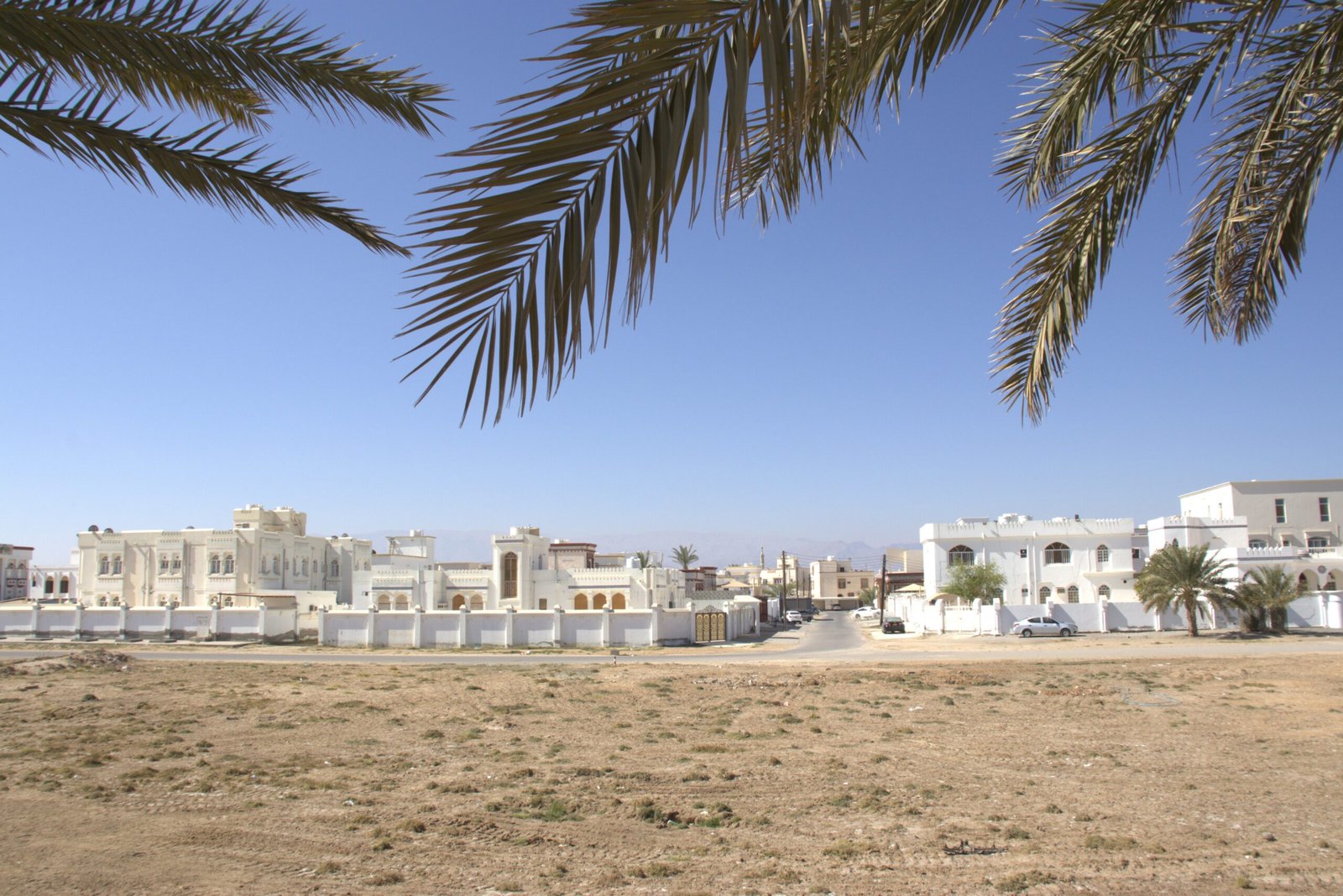 Quartiere di Sur in Oman con case bianche e palme