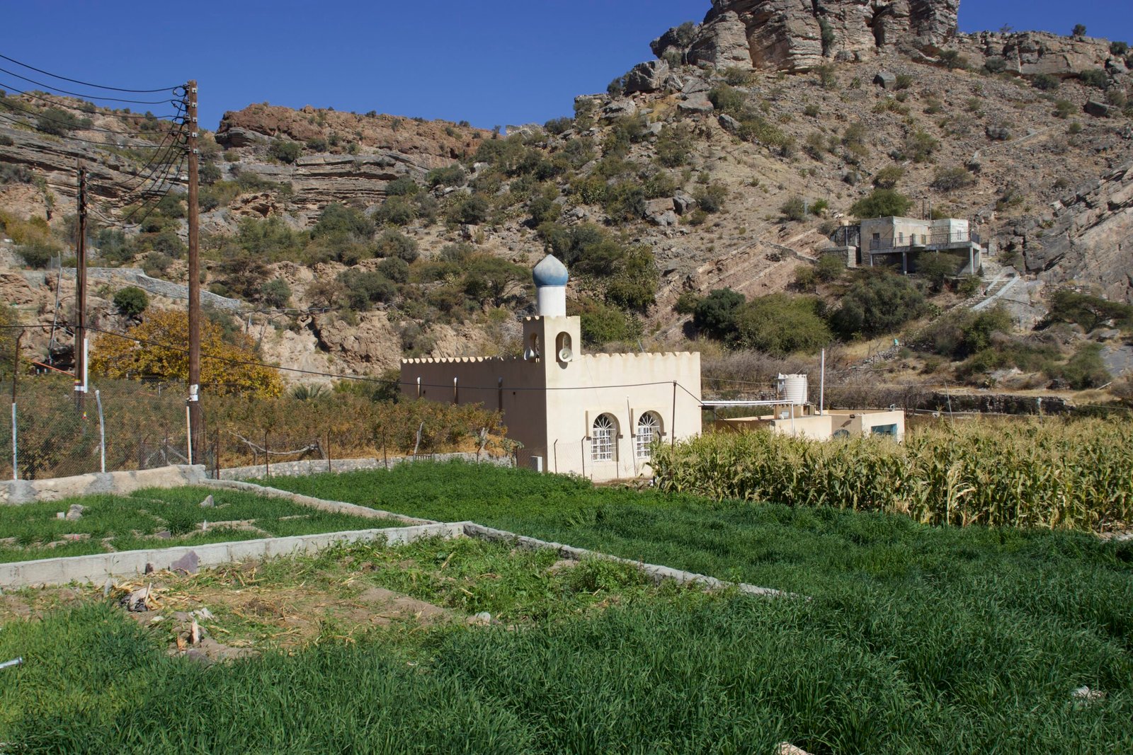 Piantagioni e piccola moschea lungo il trekking di Jabal Akhdar